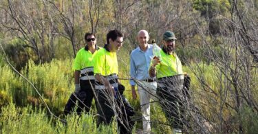 Finaliza el refuerzo estival de limpieza en la Devesa