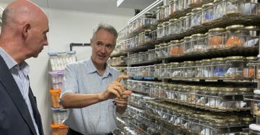 recuperación de variedades tradicionales de la huerta