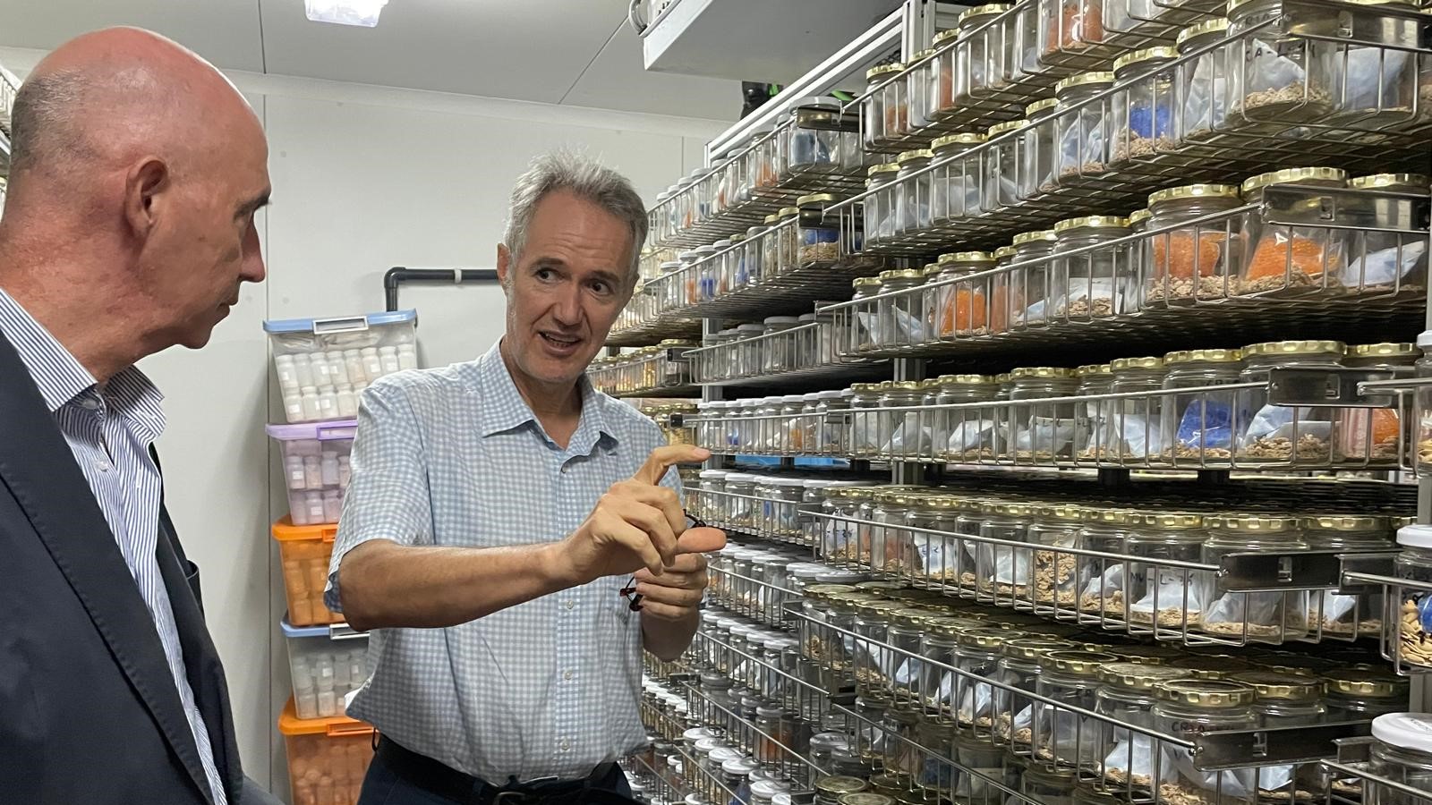 recuperación de variedades tradicionales de la huerta