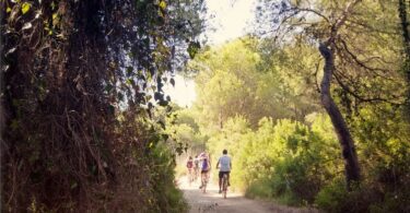 La Devesa abre sus puertas a las familias esta Navidad