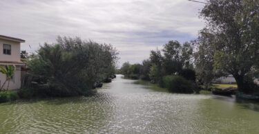 actividades-navideñas-devesa-albufera-valència