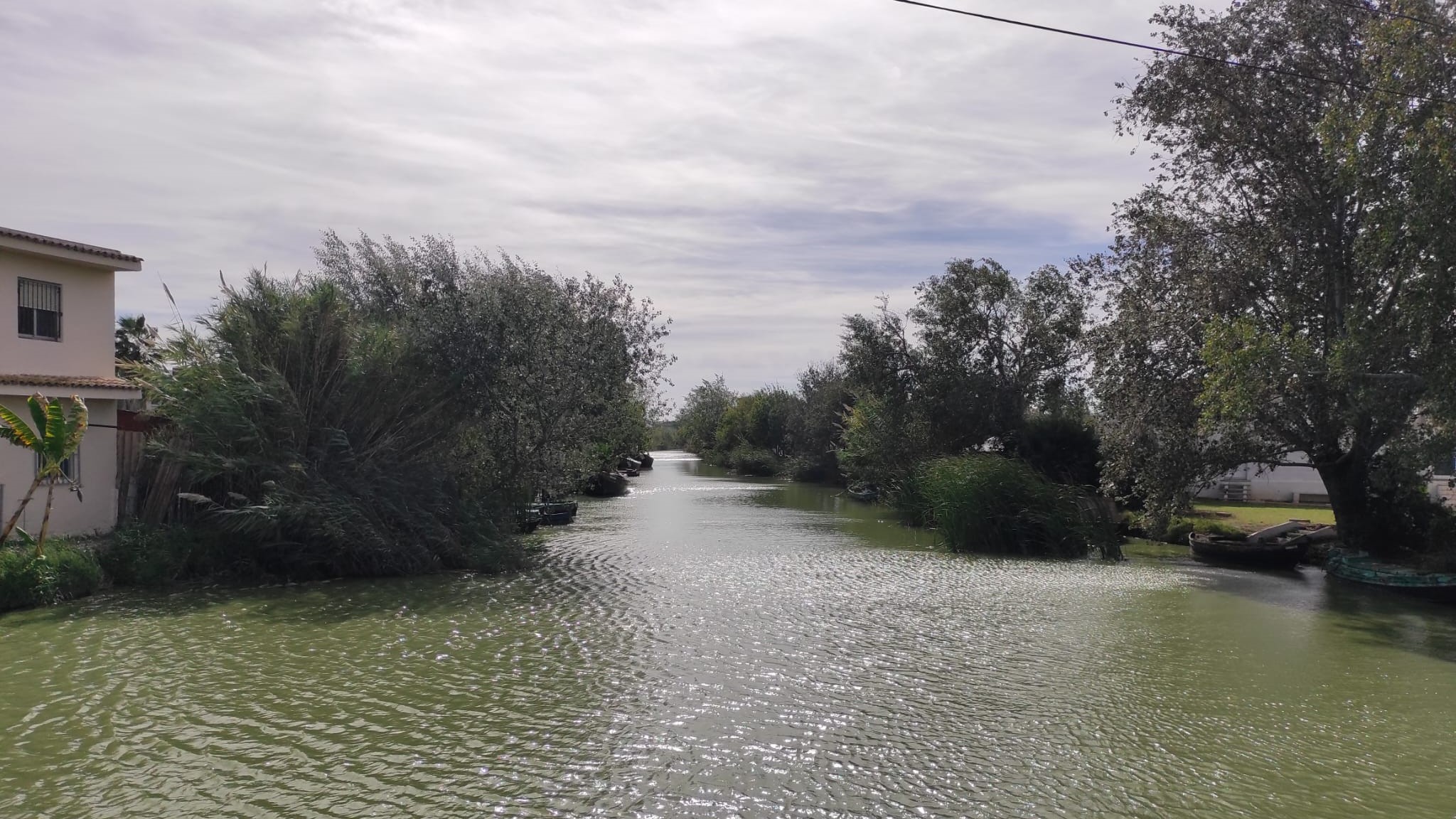 actividades-navideñas-devesa-albufera-valència