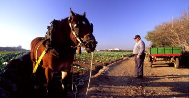 ayudas-directas-para-personas-emprenedoras