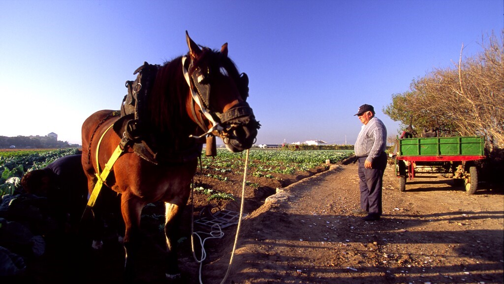 ayudas-directas-para-personas-emprenedoras