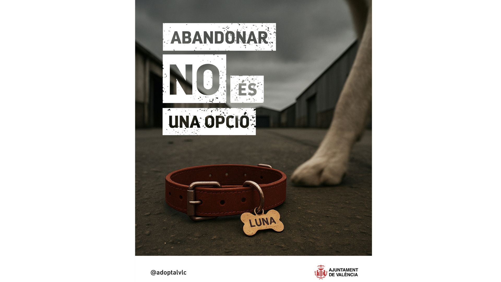 campaña-contra-el-abandono-animal-y-fomento-adopción