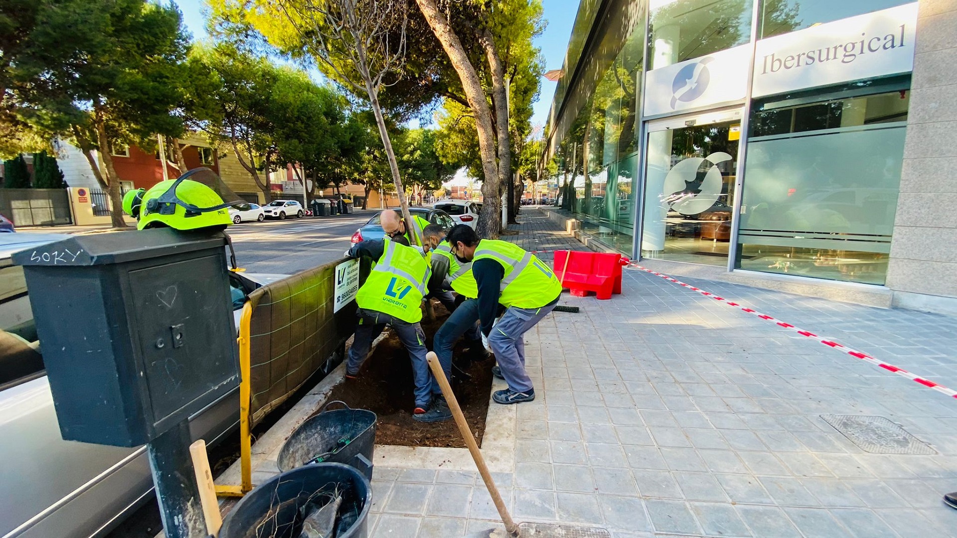 inicio-campaña-plantación-árboles-2025-26