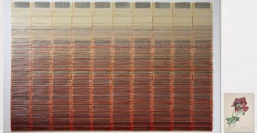 jgl-premi-senyera-arts-visuals-2025