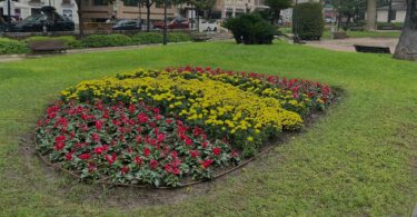 ornamentación-jardines-valència-fiesta-nacional-de-españa