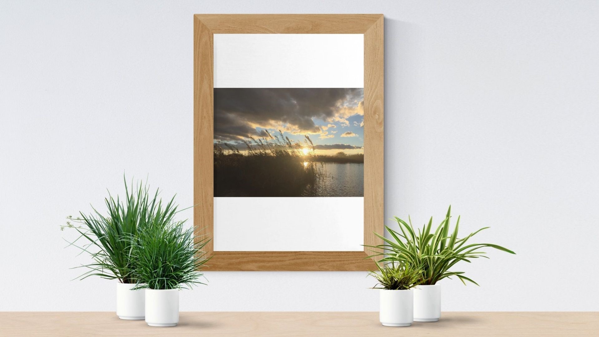 periscopio-valència-2