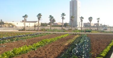 reunión-usuarios-huertos-urbanos-sociópolis