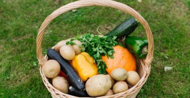 valència-al-fòrum-global-del-pacte-de-milà