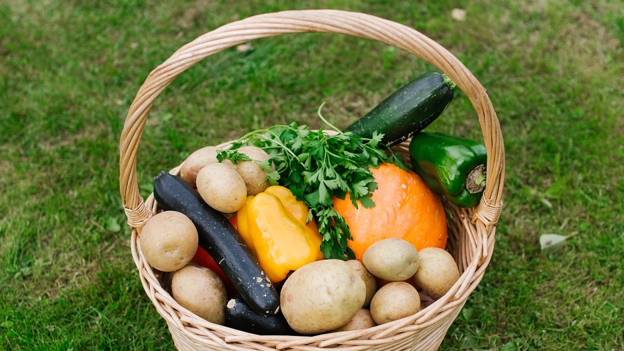 valència-al-fòrum-global-del-pacte-de-milà