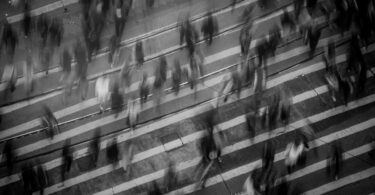 cifra-oficial-población-valència