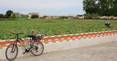 subvención de ayudas dirigida al sector primario