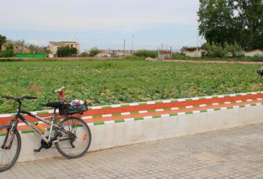 subvención de ayudas dirigida al sector primario