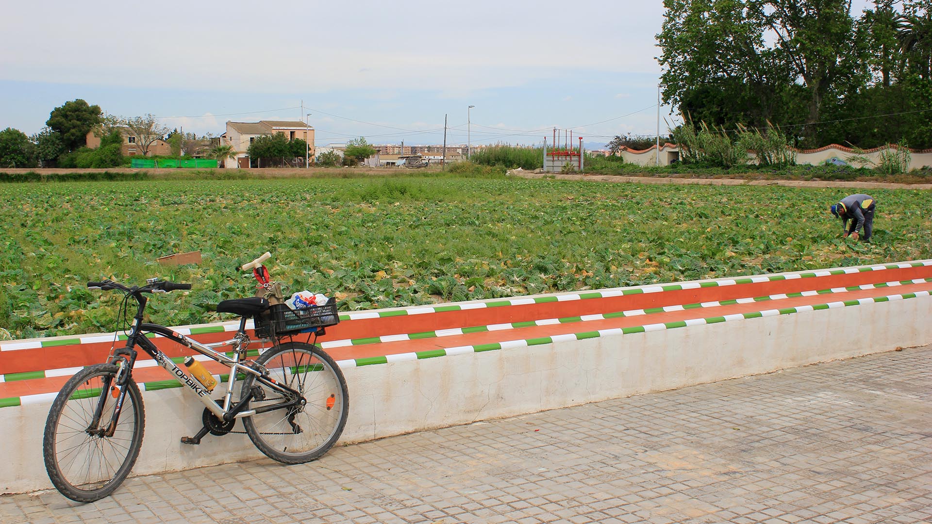 subvención de ayudas dirigida al sector primario