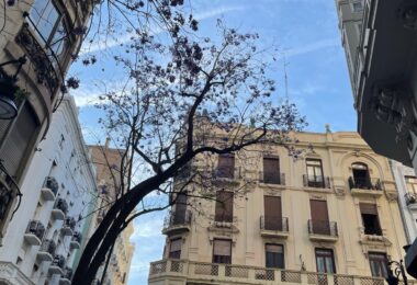 Agencia Municipal de Alquiler con la aprobación de las bases