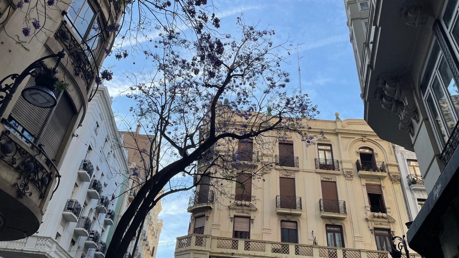 Agencia Municipal de Alquiler con la aprobación de las bases