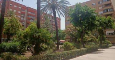 remodelación de los jardines de la plaza del Cronista Francesc Momblanch