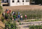 Agricultura colabora con la UPV