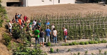 Agricultura colabora con la UPV