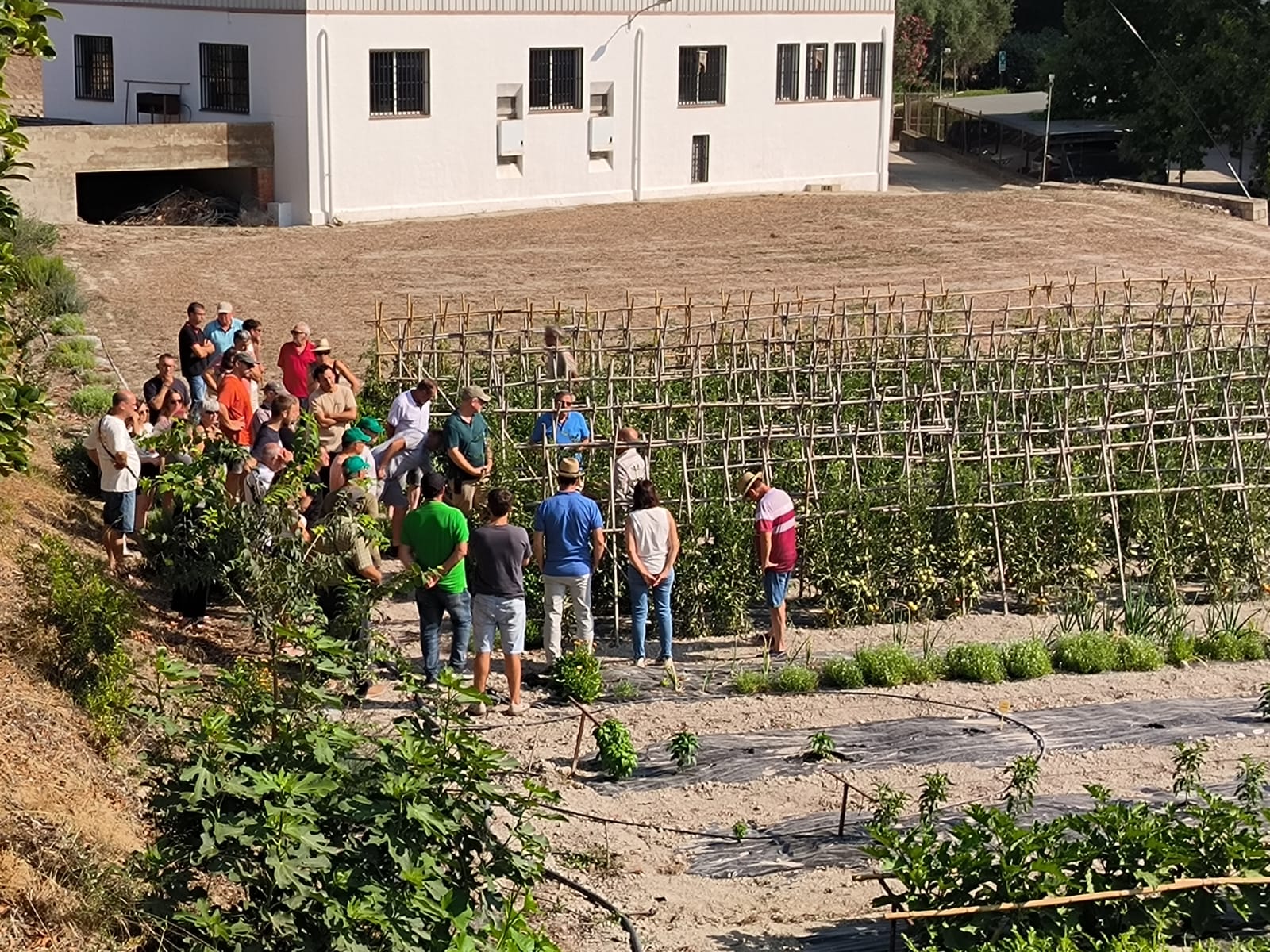 Agricultura colabora con la UPV